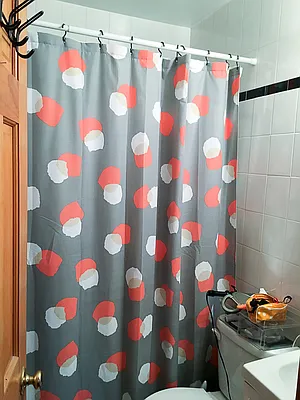 Rented by Francine Realty | media 15