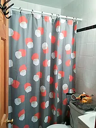 Rented by Francine Realty