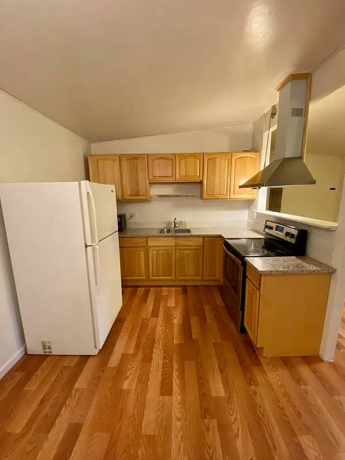 1 bed, 700 sqft, $2,700 — Photo 4