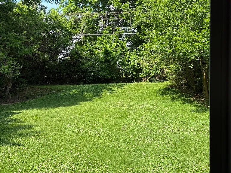 425 Meadow Park — Photo 19