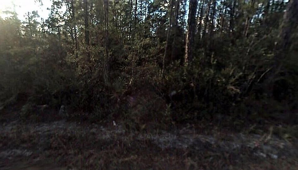 2nd image of 0 Forest Dr