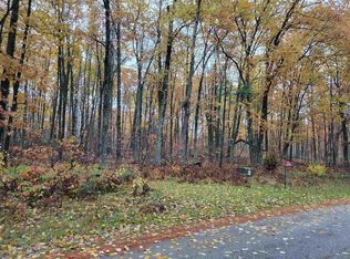 10900 Old 64 Rd, Pound, WI 54161