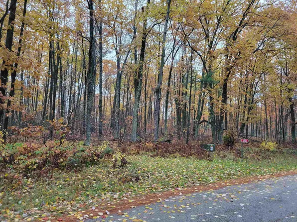 10900 Old 64 Rd, Pound, WI 54161