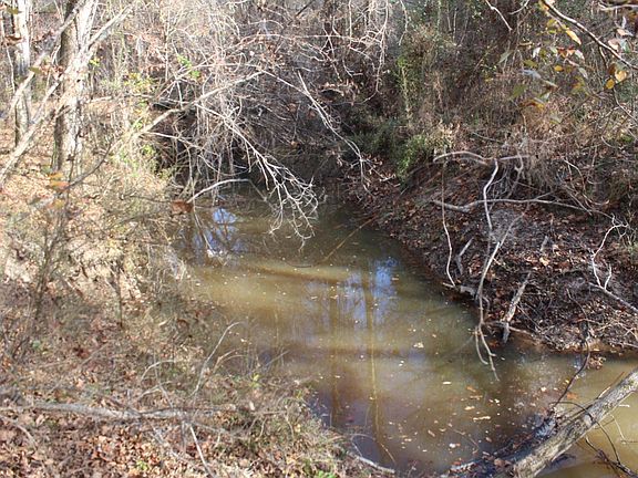 4th image of 47 Acres On Cr45 Tuskegee
