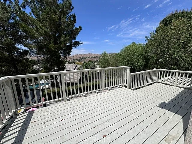 29347 Canyon Rim Pl — Photo 25