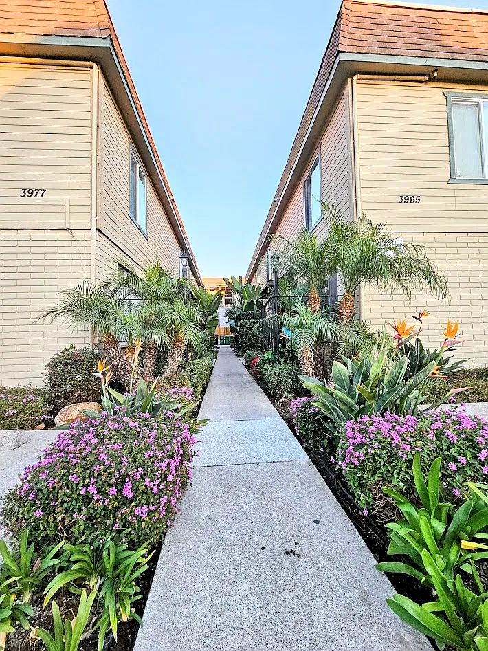2 bed, 1.5 bath, 900 sqft, $2,995 — Photo 1