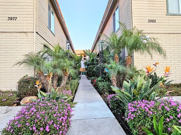 3965 Hawk St APT C