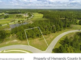 19897 Pinnacle Pl, Brooksville, FL 34601