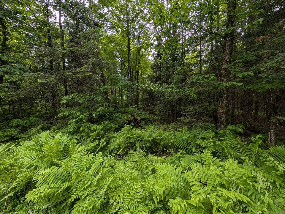 2nd image of LOT 2 Davies Rd