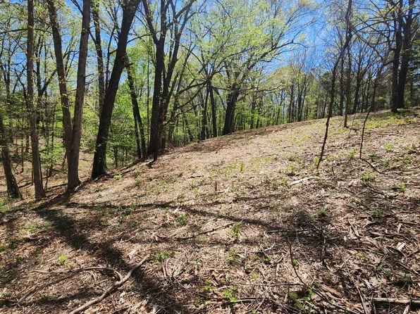 000 Danica Lane, Galena, MO 65656