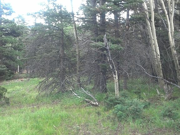 4th image of 2069 Kiers Ln