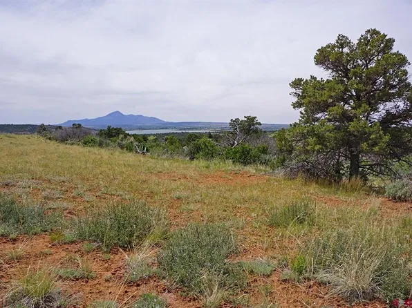24997 Road X, Dolores, CO 81323