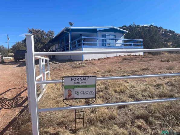 301 Bullhead Dr, Conchas Dam, NM 88416