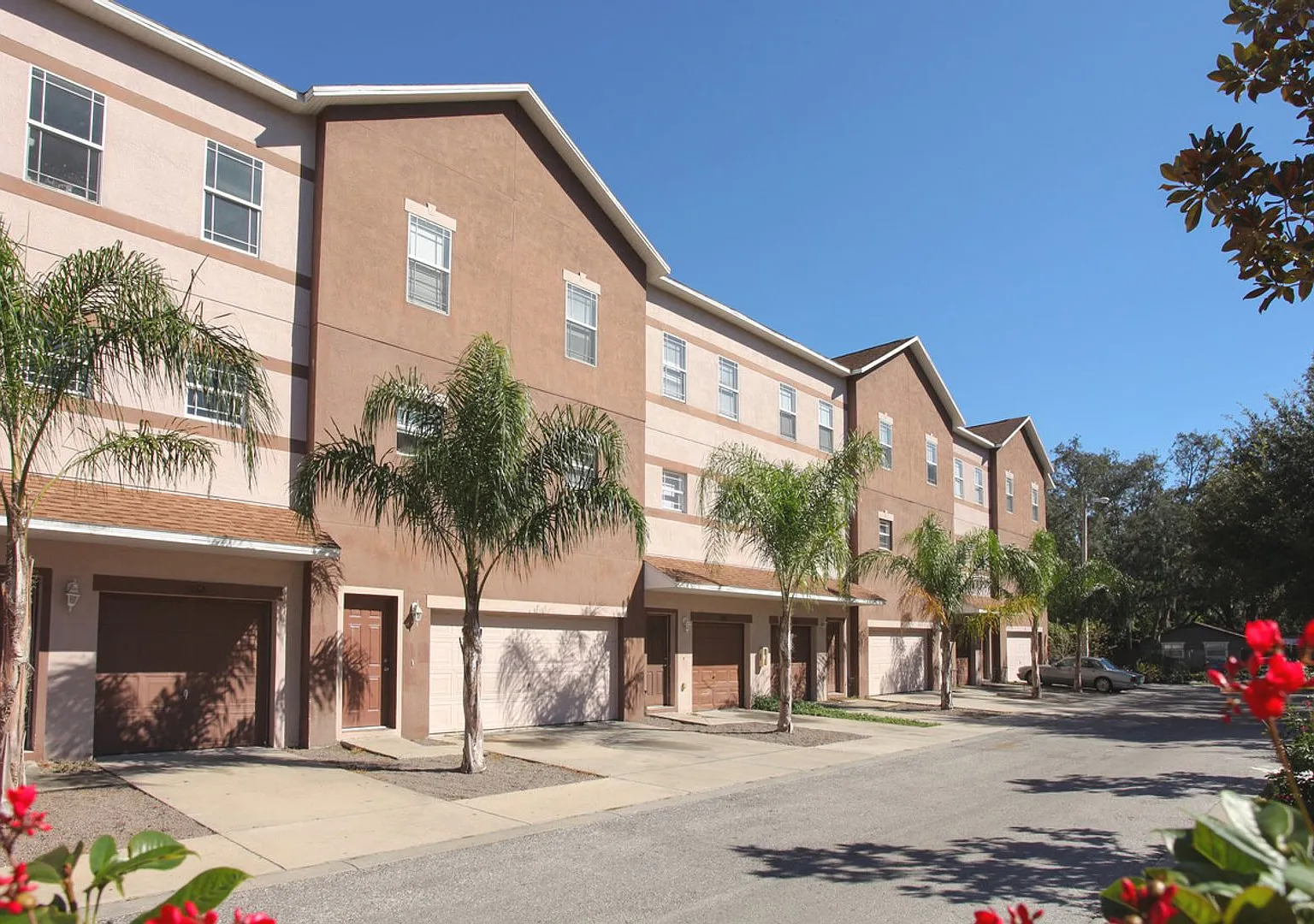 Tampa Commons — Photo 1