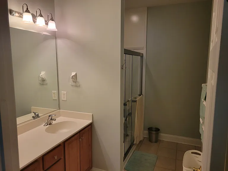 Master bathroom with updated shower