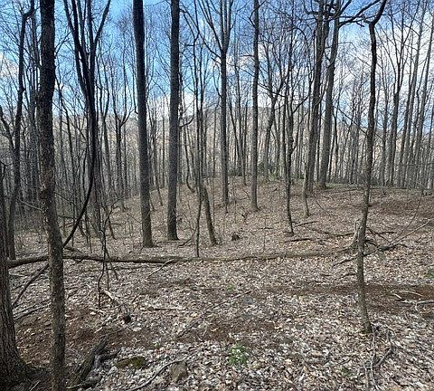 2nd image of TBD Bald Mountain Road