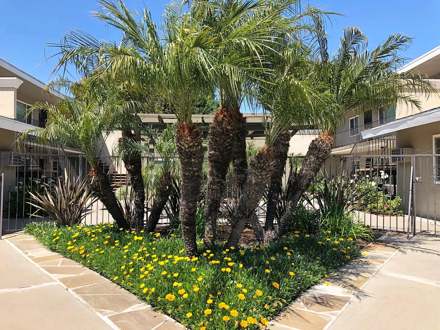 2 bed, $2,450 — Photo 2