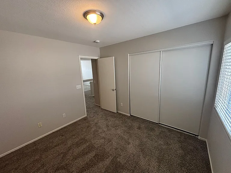 10256 Grecian Laurel Ct — Photo 15