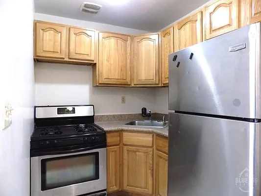 Rented by Blue Egg Realty Corp | media 3