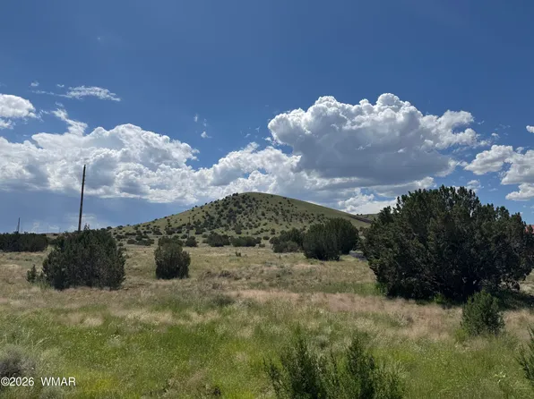 20 County Road 5203, Concho, AZ 85924