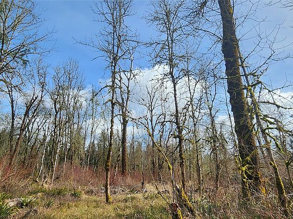 4th image of 285 Justus Rd