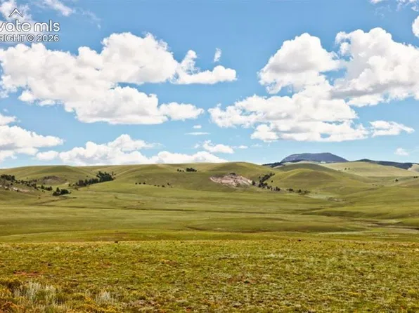 5462 Black Hawk Rd, Hartsel, CO 80449