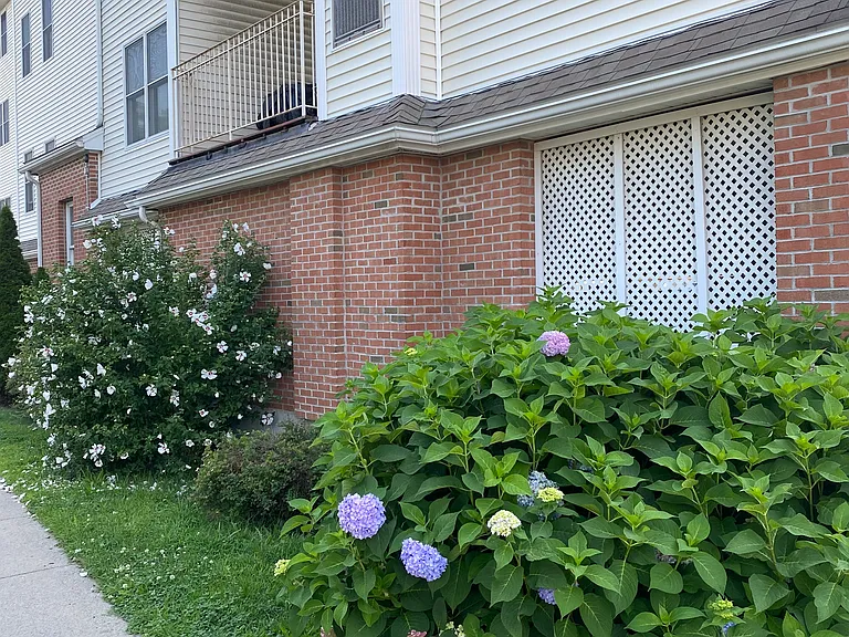 51 Pearl St #206 — Photo 2