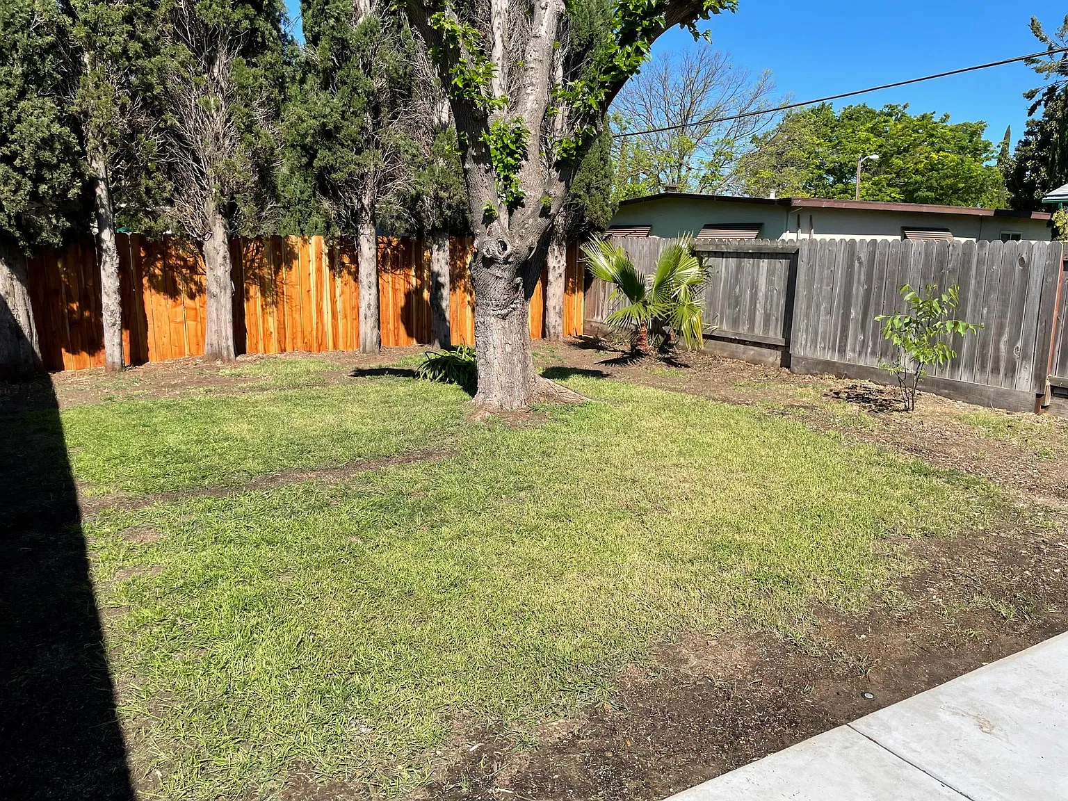 3 bed, 960 sqft, $2,450 — Photo 4