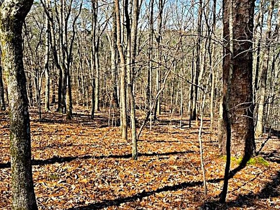 4th image of 0 Overlook Dr