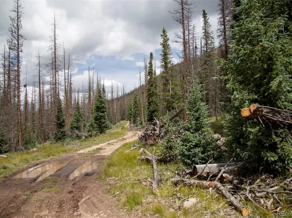 TBD Forest Rd 503, Creede, CO 81130