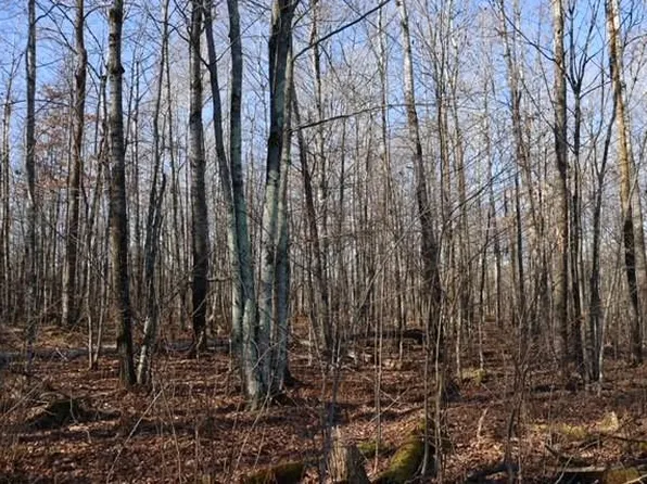Lot 2 County Highway T, Hayward, WI 54843