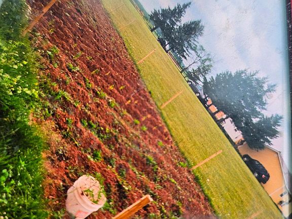 5th image of 651 Higgins Rd