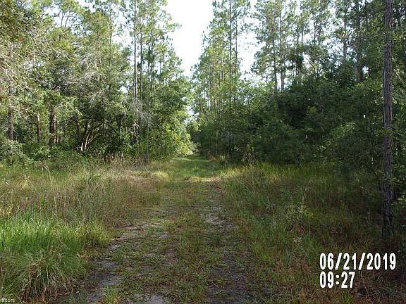 3rd image of 6814 E Banyan Pl