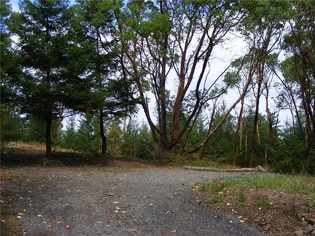 2nd image of 71 Kittiwake Ln