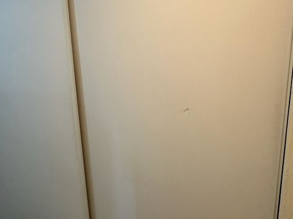 5th image of (Undisclosed Address)