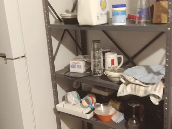 Laundry room fridge shelves