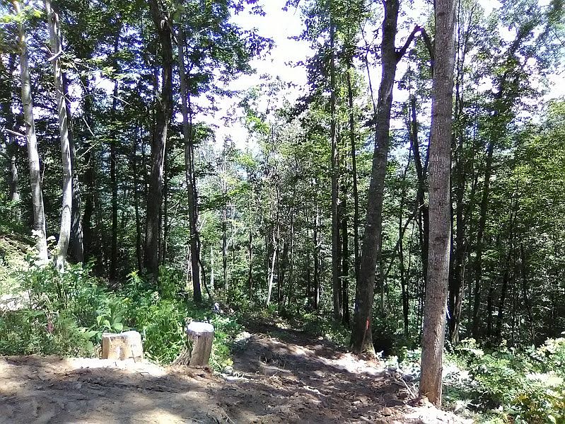 looking south East