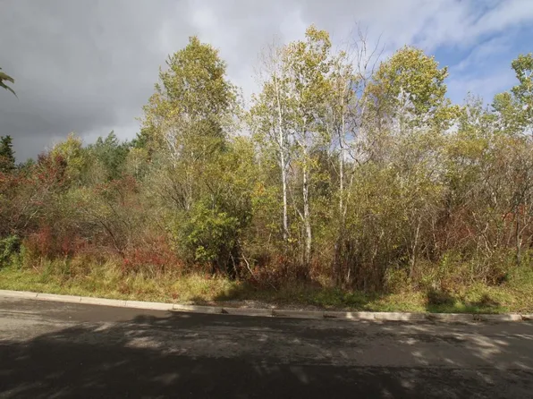 LOT 1266 73 Domenica Dr, Endicott, NY 13760