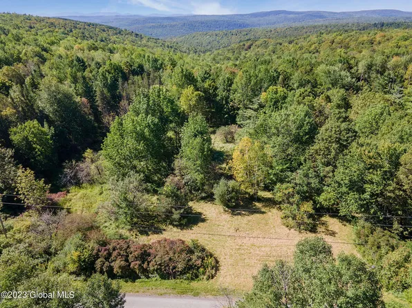 L5 Tower Road, Warnerville, NY 12187