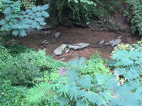 Closer view of the creek 