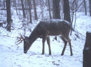 On Cth #O-PARCEL 1-2, Ogema, WI 54459