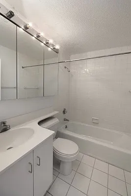 Rented by Manhattan Skyline | media 4