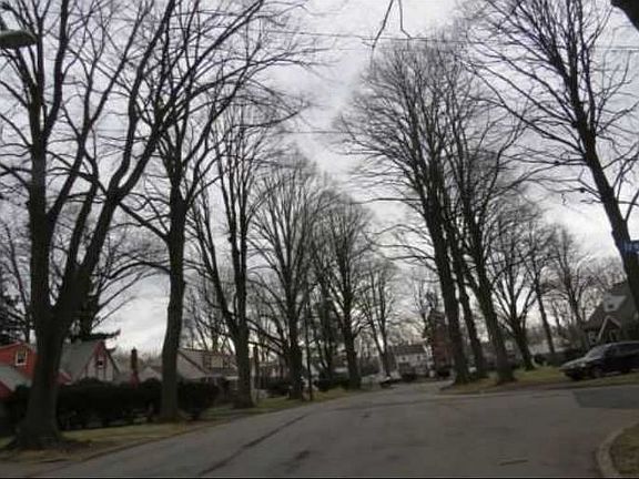 Exterior Neighborhood (street photo)