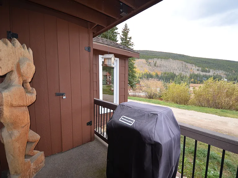 27 Peaks View Ct #114 — Photo 22
