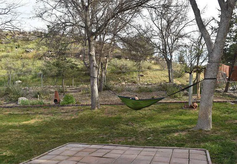 Backyard.