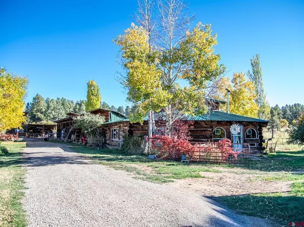 43393 Road M, Mancos, CO 81328
