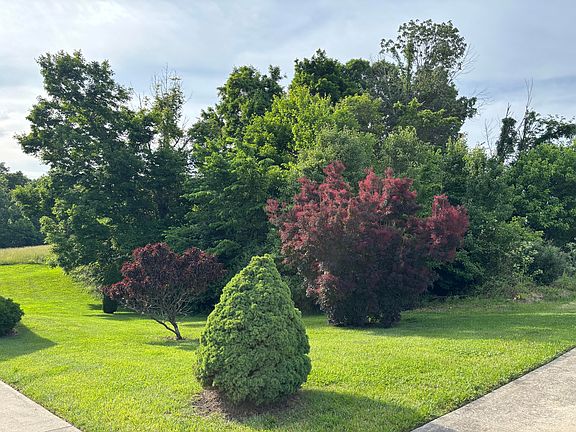 4th image of 175 Maple Ridge St Lot 24