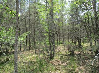 Lawe Ln, Grayling, MI 49738