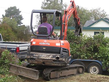 Removing dead trees & stumps. Reclaiming property boundary.