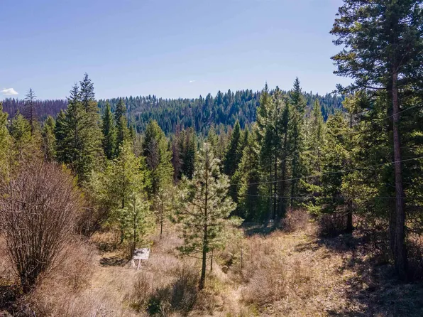 Nna Mountain Trail Ln, Newport, WA 99156